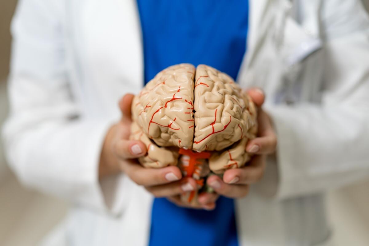 Cercetătorii De La Universitatea Din Sevilla Identifică Zonele Cerebrale Cele Mai Afectate În Stadiile Inițiale Ale Schizofreniei