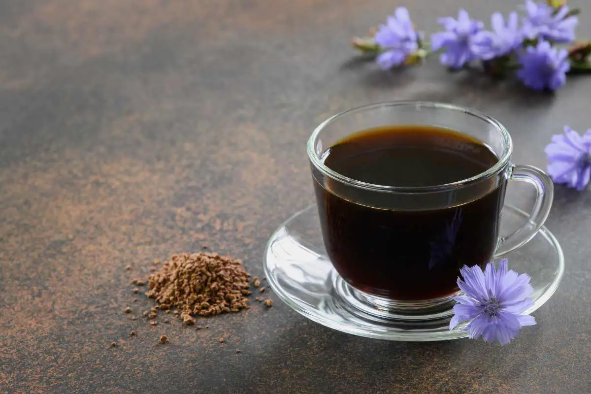 Cafeaua Cu Cicoare