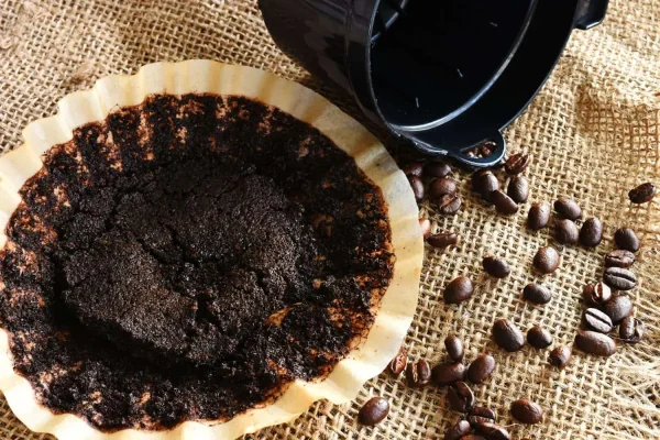 Cafea