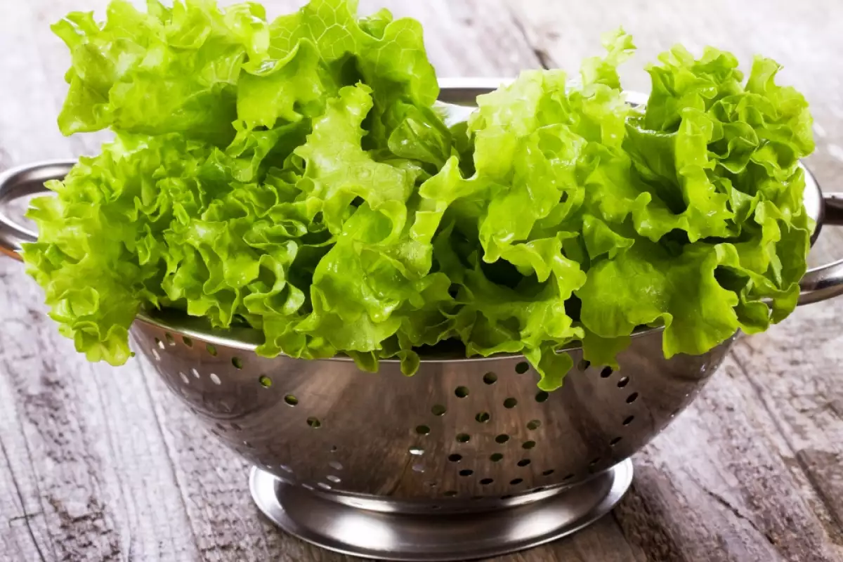 Experții Confirmă: Modul Corect De A Spăla Salata Și De A Elimina Bacteriile Și Pesticidele