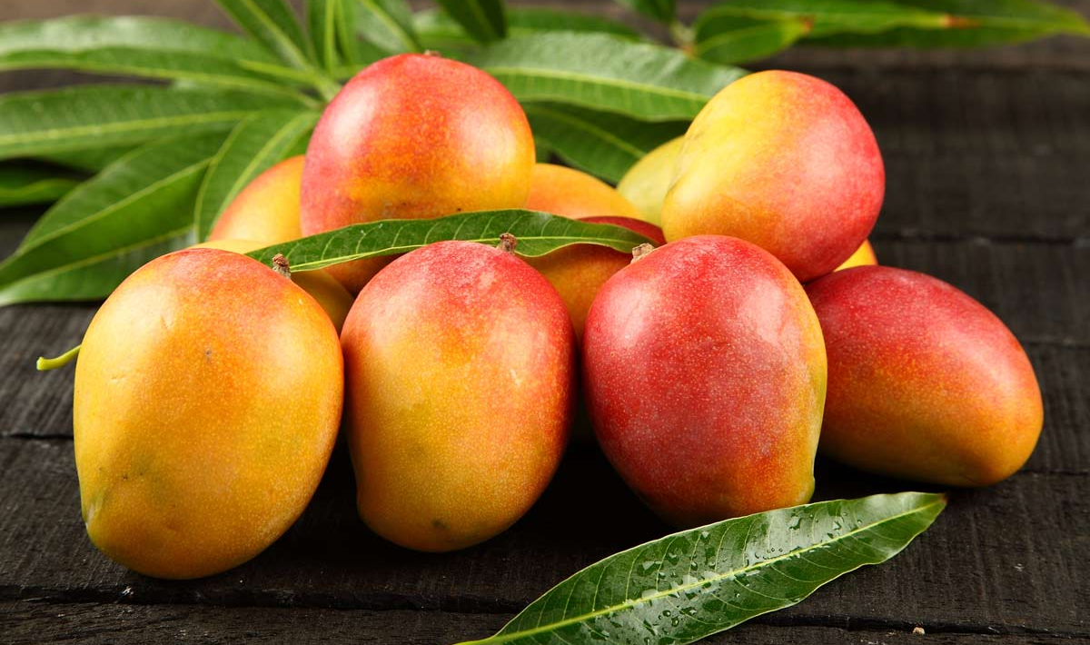 Mango
