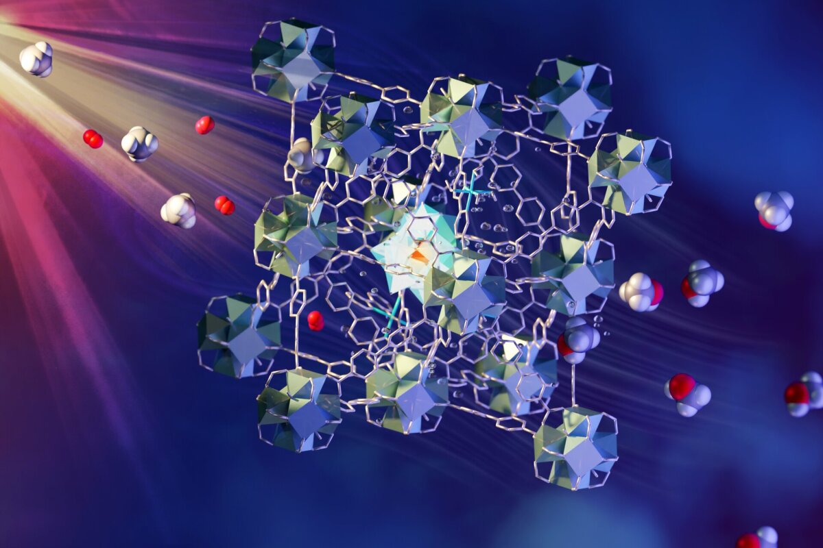 Materialul Inovator Dezvoltat De Laureații Premiului Nobel Pentru Chimie Are Multiple Utilizări Și Poate Chiar Capta Apă În Deșert